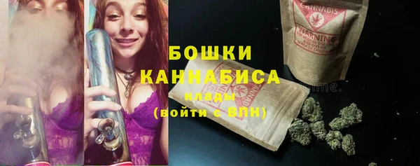 дживик Анжеро-Судженск