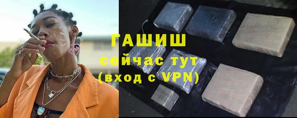 дживик Анжеро-Судженск