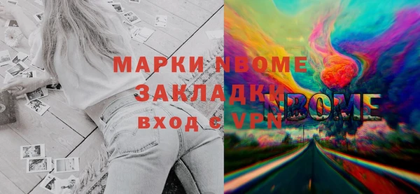 дживик Анжеро-Судженск