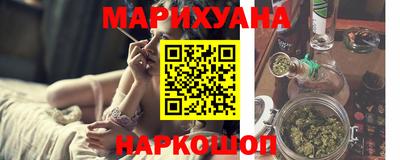 шишки Кандалакша