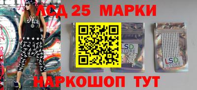 шишки Кандалакша