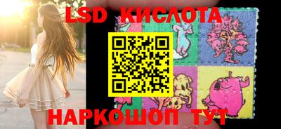 мяу мяу мука Будённовск