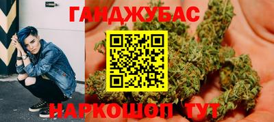 шишки Кандалакша