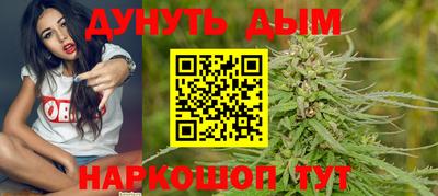 шишки Кандалакша