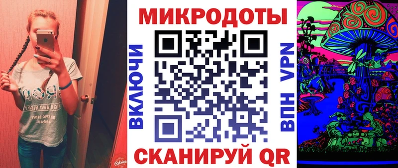 Галлюциногенные грибы Psilocybe  Чусовой 