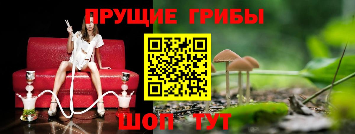 Псилоцибиновые грибы ЛСД Чусовой